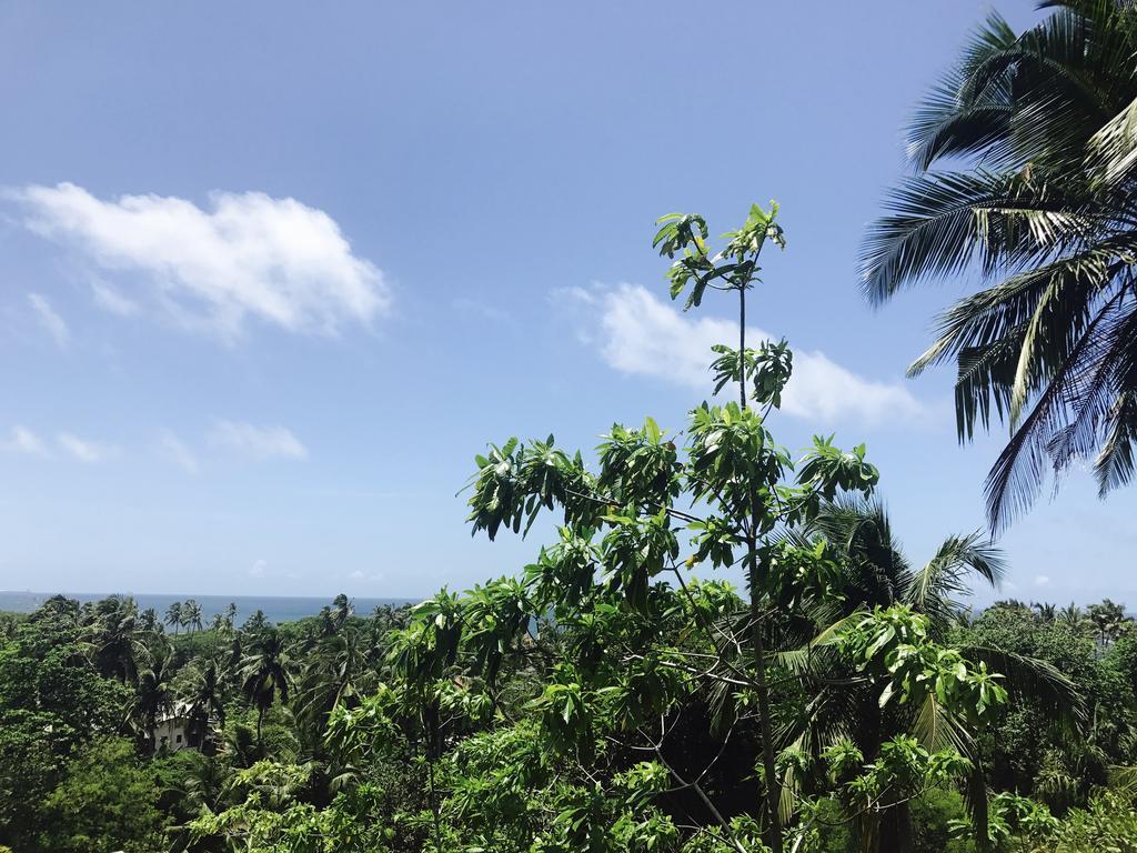Lanka Eco Village أونا واتونا المظهر الخارجي الصورة