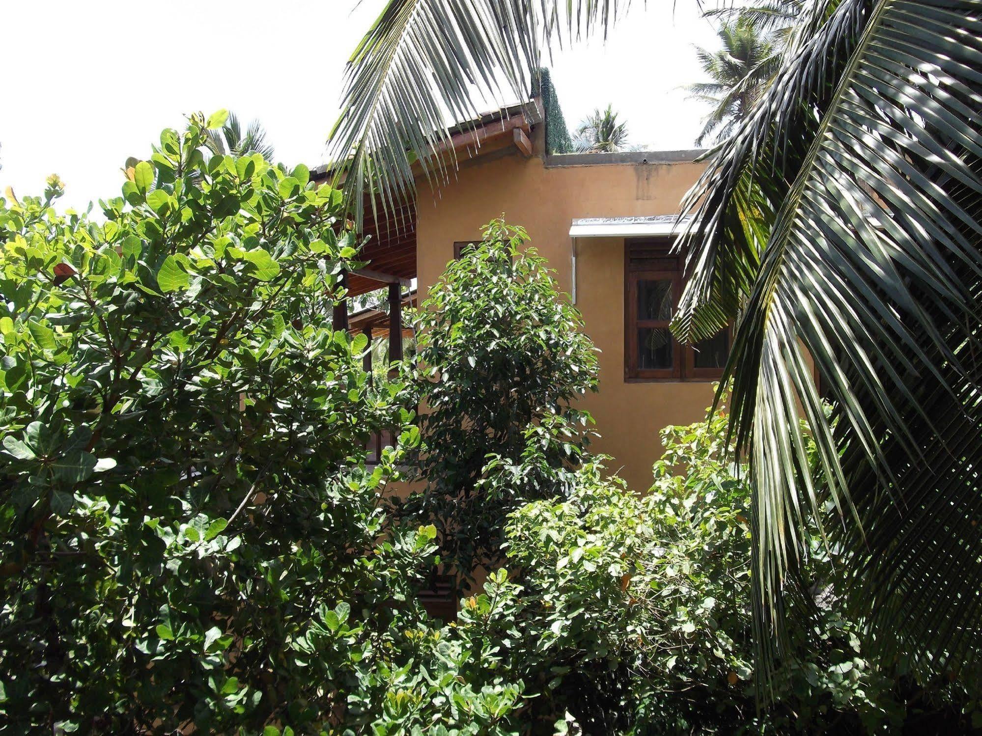 Lanka Eco Village أونا واتونا المظهر الخارجي الصورة